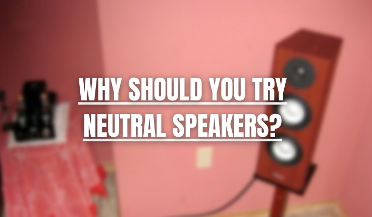 3 Reasons Why You Should Try Neutral Speakers